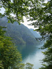Berchtesgaden lake K&ouml;nigssee with trees in foreground and mountains in the background