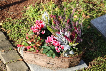 Einpflanzung herzförmig mit Blumen als Grabschmuck im Herbst auf dem Friedhof 