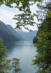 Berchtesgaden lake K&ouml;nigssee with trees in foreground and mountains in the background
