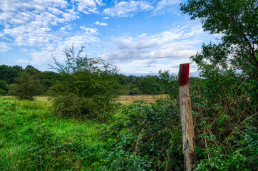 Blick in die Wahner Heide bei Köln