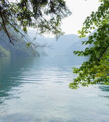 Berchtesgaden lake K&ouml;nigssee with trees in foreground and mountains in the background