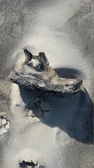 An den Strand gespülter und versandeter Schuh. Biscarrosse. Atlantik. Frankreich.