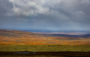 Fototapeta na wymiar Storm clouds over the tundra in autumn. Kola Peninsula, Russia.