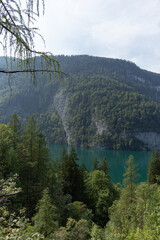 Berchtesgaden lake K&ouml;nigssee with trees in foreground and mountains in the background