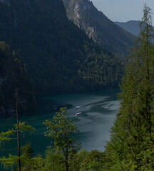 Berchtesgaden lake K&ouml;nigssee with trees in foreground and mountains in the background