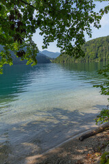 Berchtesgaden lake Königssee with trees in foreground and mountains in the background