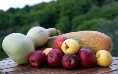 gourd
 , decorative pumpkin, new crop