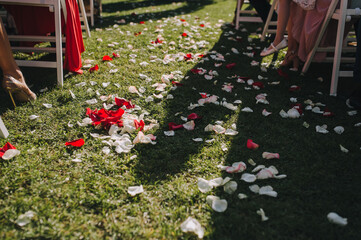 Multi-colored rose petals lie on the green grass at the wedding ceremony with chairs. Photography, texture, copy space.