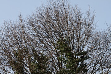 Natur, Landschaft, Herbst, Baum , Bl&auml;tter , Schweiz, Wald, Reisen, Tourismus, Park , Gr&uuml;n, Travelling, Travel, Autmn, Autnm, Trip, Tourism,Switzerland, forest, tree, landscape, valley Mountain, Berg,