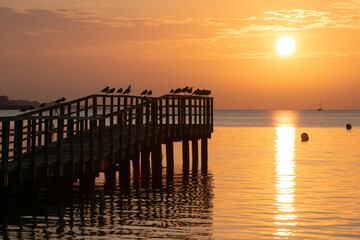 Fototapeta premium silhouette of gulls on a jetty with gorgeous golden sunrise scenery