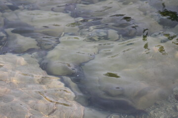 Felsen im Wasser in der wilden Natur in Europa