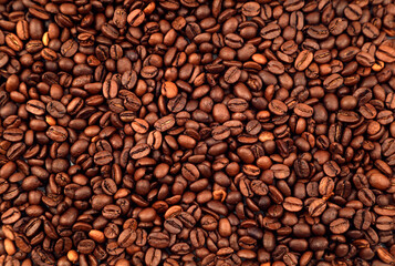 Roasted coffee beans