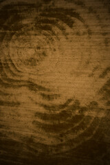 Naklejka premium detail of wood trunk