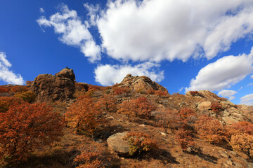 Obraz premium Natural scenery of Qingshan Park in Keshiketeng World Geopark, Inner Mongolia