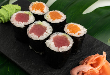 Salmon Hosomaki Sushi or Thin Maki Sushi Rolls Isolated