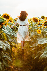 young woman in sundress walking by sunflowers field on sunset