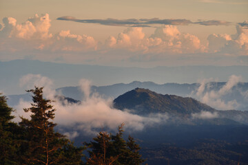 Fog over the Doi Inthanon mountain, Chiang Mai Thailand. The highest peak of Thailand