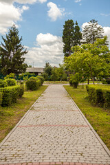 Fototapeta premium Stone lined path in the park