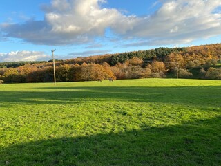 Rural, autumn landscape, with an extensive meadow, horses, and a small forest on the horizon in, Tong, Bradford, UK