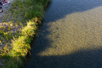 京都の鴨川　川辺　水辺