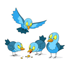 the birds gathered to eat together. illustration of funny birds in cartoon style. vector