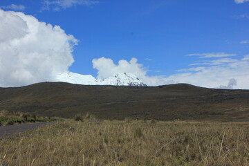 Reserva Ecológica Antisana Ecuador