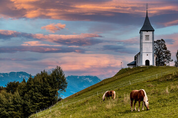 Horse Grazing at Picturesque  Church Of St Primoz.in Jamnik,Kamnik, Slovenia at Sunset with...