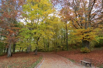 Stadtpark im Herbst