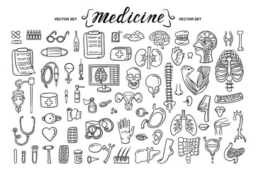 Vector cartoon set on the theme of medicine, human organs, anatomy. Isolated hand drawn doodles, icons. Treatment, health and healthcare symbols. Line art for use in design - 391076045