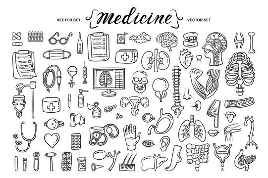 Vector cartoon set on the theme of medicine, human organs, anatomy. Isolated hand drawn doodles, icons. Treatment, health and healthcare symbols. Line art for use in design