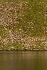 Two boys are standing by the water, two brothers are looking at the lake, the reflection in the water, the alpine lake Brebeneskul.
