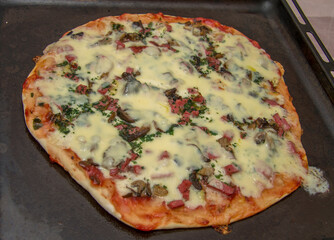 Pizza with mozzarella, fried mushrooms, sausage and parsley