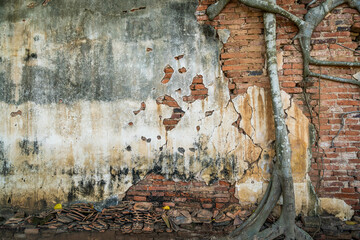 Root trees overgrown cracked vintage red brick wall background
