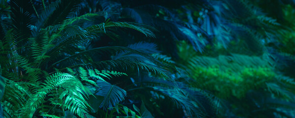 Fototapeta na wymiar Wide floral background - trendy green dark toned image of tropical bush foliage.