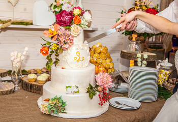 Bride and Groom at Wedding Reception Cutting the Wedding Cake