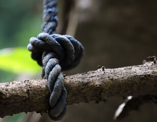 A blue knot with thick rope tied on a tree brunch 