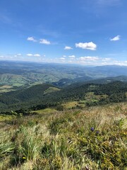 Naklejka premium landscape with sky