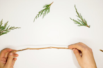 Step by step Christmas tree made of wooden branch. DIY crafts guide. New year handmade decoration 