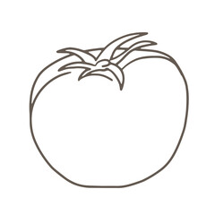 野菜のイラスト、トマト、線画