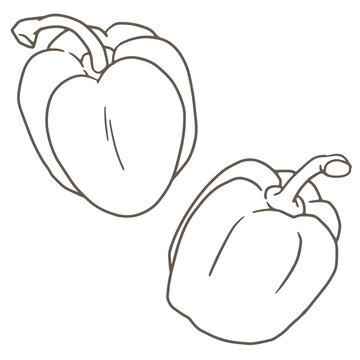 recommend clip art: 野菜のイラスト、パプリカ、線画