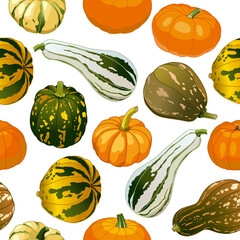 Seamless pattern different types of squash.  Isolated drawings of pumpkins. Vector image.