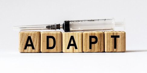 Text ADAPT made from wooden cubes. White background