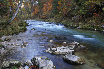 Herbstimpression von der Salzaklamm bei Mariazell