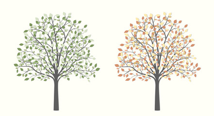 Tree with leaves in two versions, summer and autumn