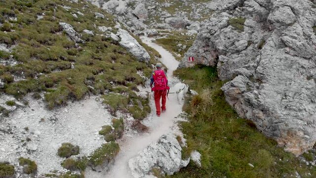 Dolomiti escursionista con il cane