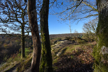 Belgique Wallonie automne nature foret point de vue Chiny Semois Rocher du Hat