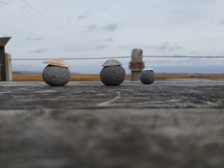 rocks with seashells for hats
