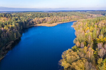 Autumn lake landscape with pine trees, aerial bird-eye view