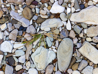Natural stone used in construction and outdoor landscape design.