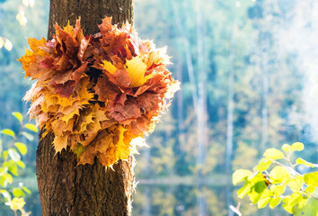 A wreath of yellow maple leaves hangs on a tree.